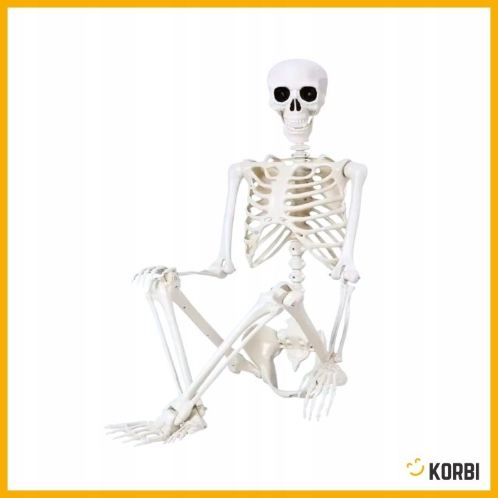 Dekoratívny skelet Korbi vysoký 165 cm