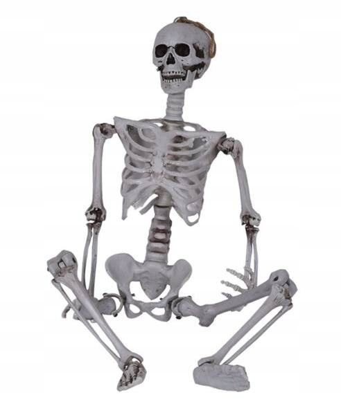 Závesný skelet Imchex 165 cm s pohyblivou čeľusťou