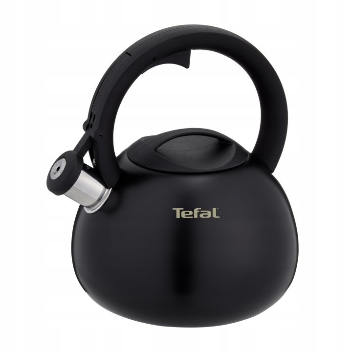 Tefal N4180410: tradičná oceľová kanvica 2,5 l s píšťalkou
