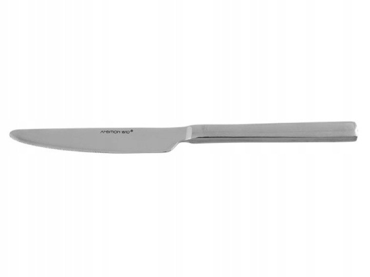 Stolové nože Ambition Prato 23 cm, 12 ks