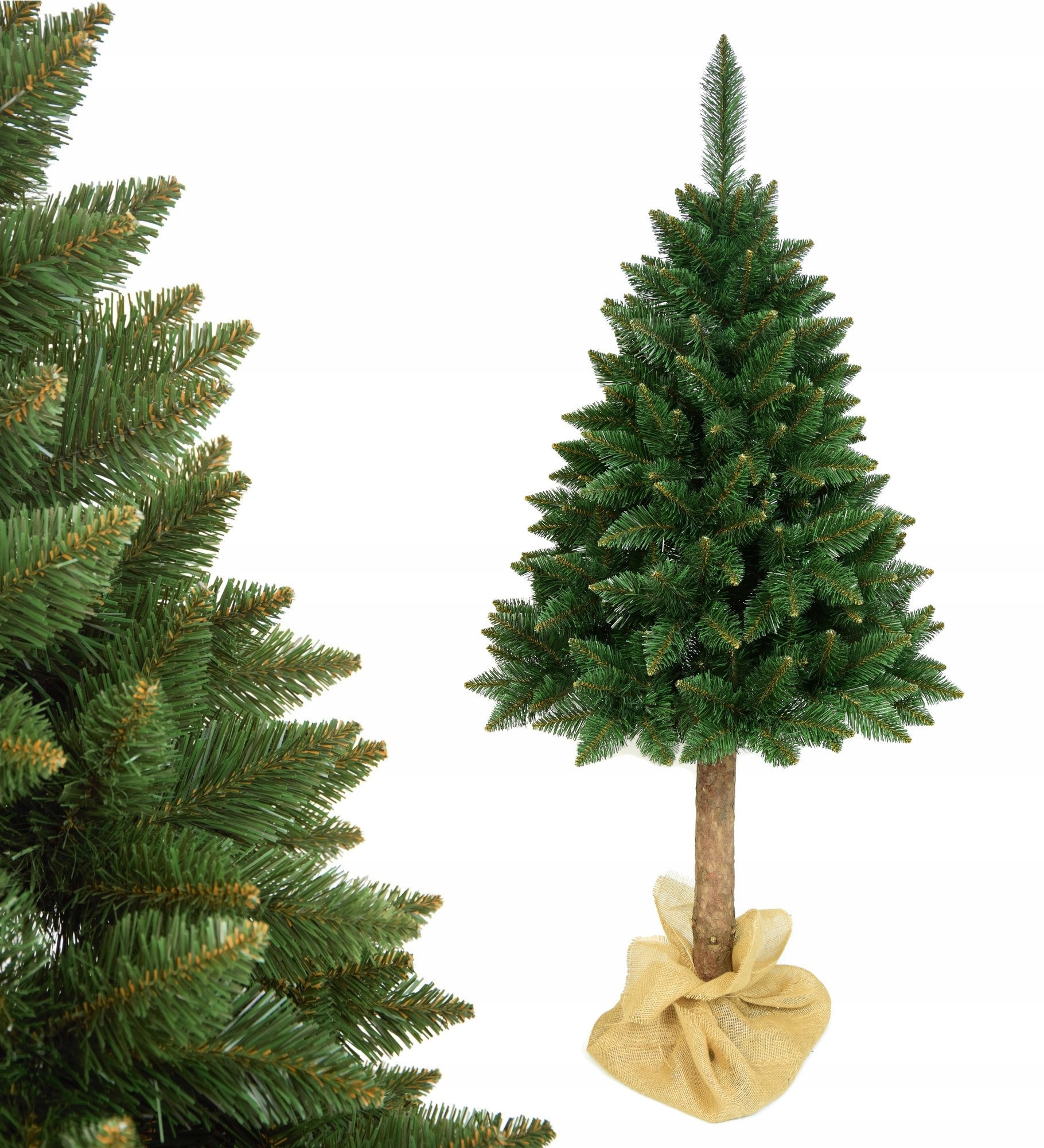 Vianočný stromček - Vianočný stromček na Trunk Mountain Pine Beautiful Premium 180 cm
