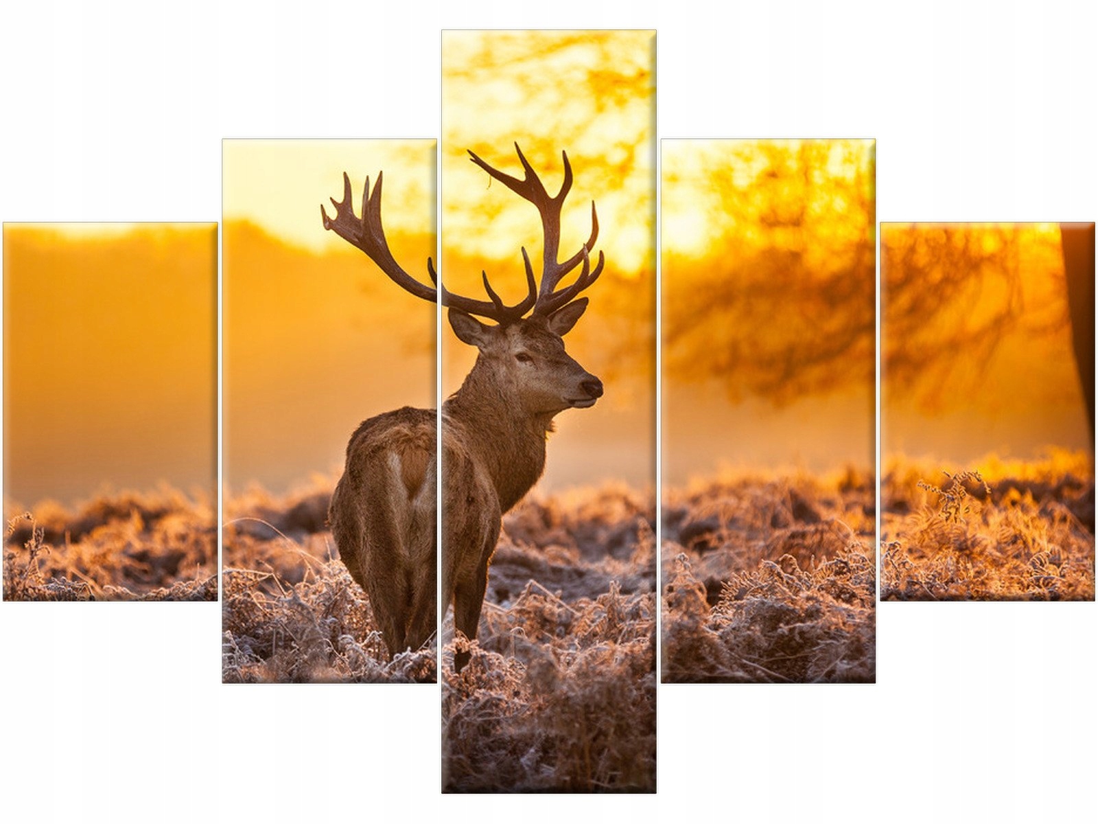 Jeleń 100x70cm foto