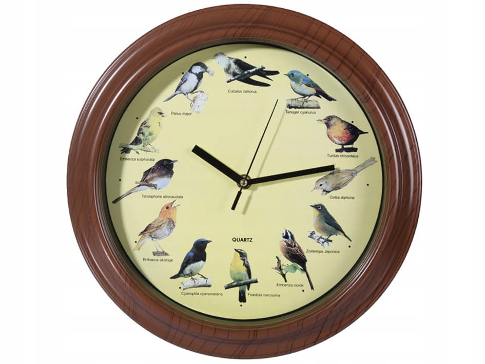Hodiny - Vtáky Vtáky CLOCK protihluková stena SOUND SINGING