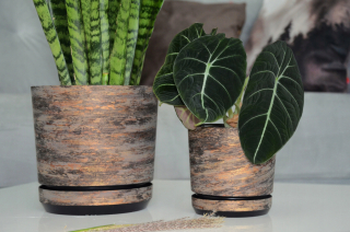 Kerd Pot 15,2 cm x 16 x 15,2 cm priemer 16 cm plast