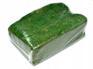 1 kg Dekoratívny zelený mach sušený prírodne sušený