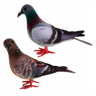 Upravte nastavenia zobrazenia