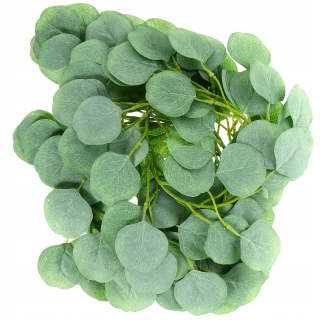 Veniec na dvere - 2 ks eucalyptus girlandu pre dom