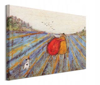 Sam Toft levanduľové pole Obrázok Canvas 80x60 cm