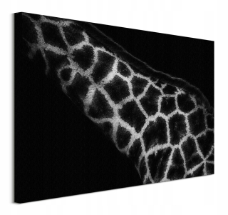 Obrázok na plátne do afrického článku 80x60 cm izby
