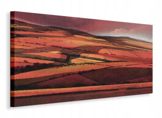 Jonathan Sanders Pola - obrázok na plátne 50x100 cm