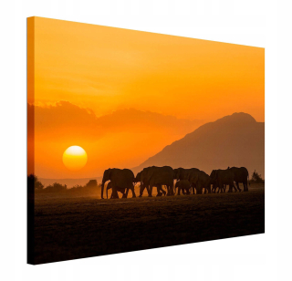 Amboseli Canvas Painting Sunset 80x60 cm