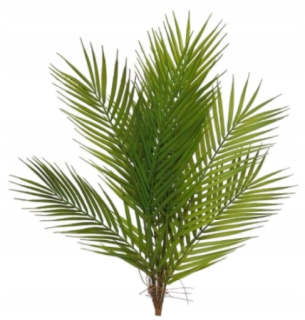 Areca palmulin umelý hodváb 60 cm zelená