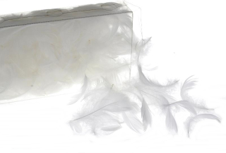 Vianočné ozdoby - Biele perie v krabici, prírodné a nadýchané