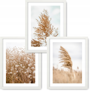 Boho 3 maľby 43x53 Ráme prírody IKEA #11