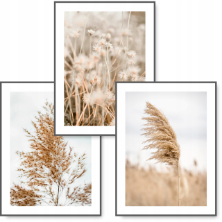 BOHO sada 3 obrazov 30x40 plagát NATURE GRASS #12