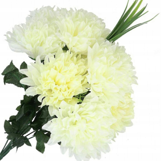Chrysanthemum Chrysanthemum Veľká kytica kvetu