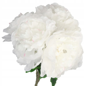 Kytica peonov kvetinových pivoniek peonia 50 cm