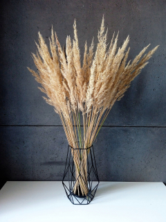 Kytica suchej trávy 60cm 50ks + pampas trávy