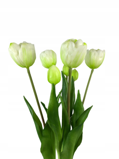 Kyticu tulipánov 7ks tulipánov ako skutočnú bielu