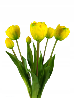 Kyticu tulipánov 7ks tulipány ako skutočný žltá