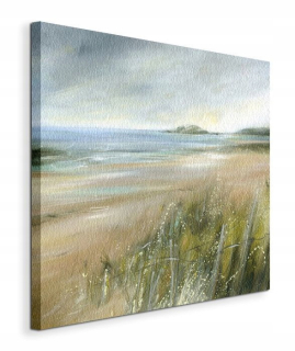Hannah Bone Beach obrázok na plátne 60x60 cm