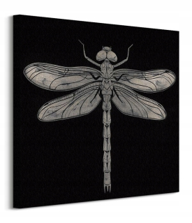 Barry Goodman Dragonfly hmyz maľba na plátne 60x60 cm