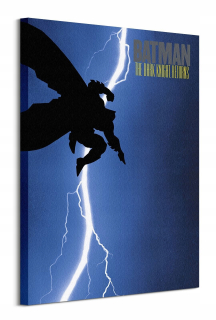 Batman the Dark Knight Painting na plátne 60x80 cm