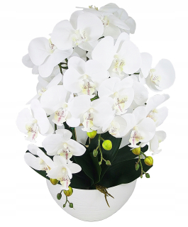 Biele orchidey umelé latexové gumové kvety