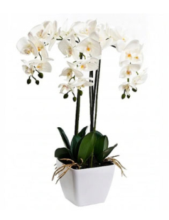 Biela orchidea umelý v hrnci H57