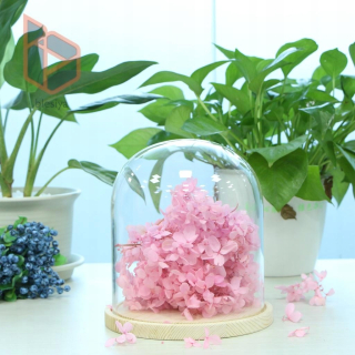 Blesiya Skrecytt Glechjár Cloche Bell Jar Dome Með