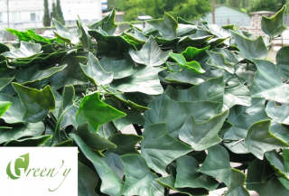 Ivy Hedera Green Panely Hedge Artificial