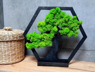 Bonsai Tree - Moss, živý obrázok, vďaka