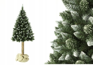 Vianočný stromček - Vianočný stromček na trupovej diamantovej borovici 220 cm hrubý sneh
