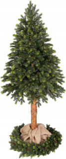 Vianočný stromček - Vianočný stromček na kufri japonský smrek 220 cm PE zadarmo