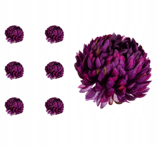 Chrysanthemum ananás Purpurová fialová 6 kusov