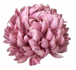 Chrysanthemum Product Head Flower 14 cm 6 kusov