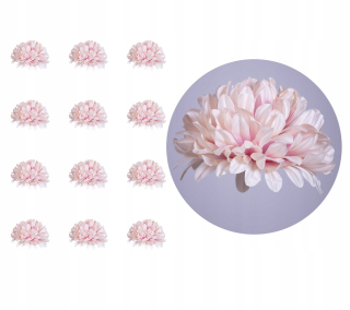 Chrysanthemum Satin Coo -Pink Head 12 kusov