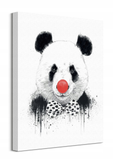 Balazs Solti panda klaun obrázok na plátne 40x50 cm