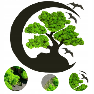 DARČEK strom ŽIVOTA STROM ŠŤASTIA ŽIVÝ OBRAZ mach mach BONSAI