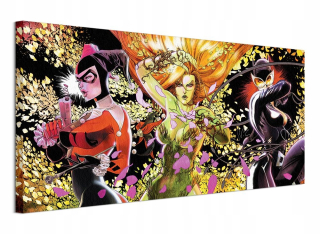 DC Comic Ladies Catwoman Image Canvas 100x50 cm