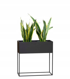 Stojan na rastliny 60 cm, kovový 99921600JB