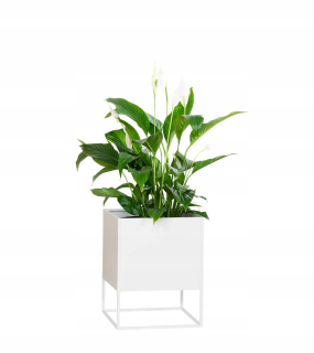 Stojan na kvety - Kovový kvetináč Maxi, 45 cm, biela