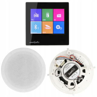 DSPPA Flush -Mount -Mountad Radio pre kuchynskú kúpeľňu s BT/USB