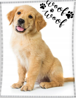 Prikrývka na posteľ - Veľká prikrývka Zlatý retriever pes šteňa labrador