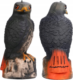 Veľký vták Falcon a Rodzon Dafetser 40 cm