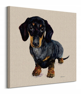 Jane Bannon Black Jacshund Image Canvas 60x60 cm