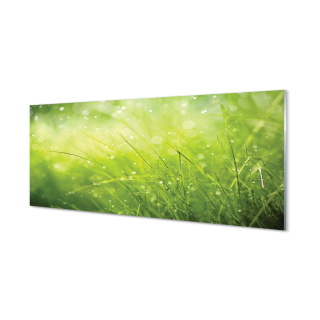 Dekor Moderný obrázok kvapky trávy Rosa 125x50