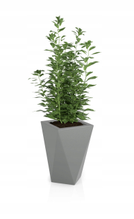 Hrniec 60 x 40 cm šedý plast
