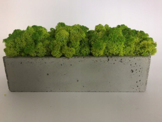Obdĺžnik dĺžka 30cm
