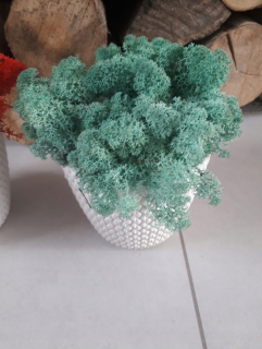 Chlieb kvetináč s poškriabaním. 9,5 cm